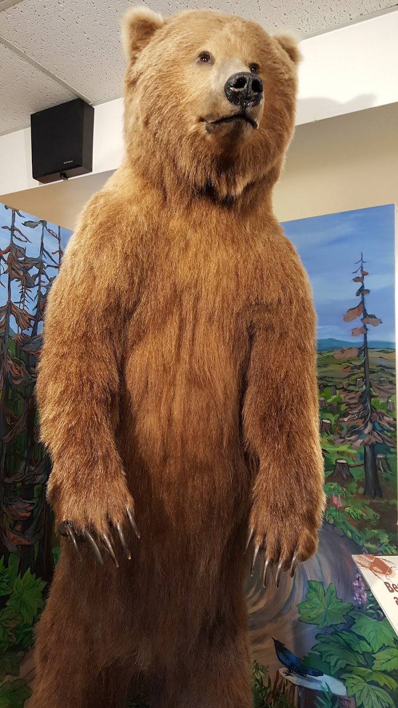 Pratt Museum photo